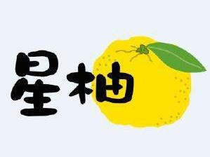 抖音S级公会排名，抖音前十工会有哪些？