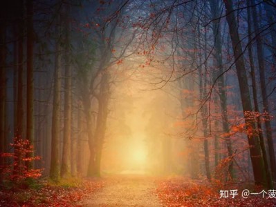 抖音老账号好还是新账号好，抖音新账号容易火还是老账号